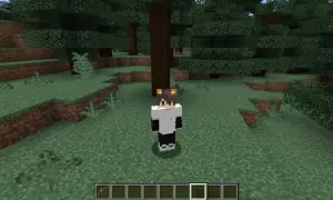 Postać w grze Minecraft, ubrana w białą bluzę i czarne spodnie, z kocimi uszami na głowie, stoi w lesie. Czeka na komendę na niewidzialność.