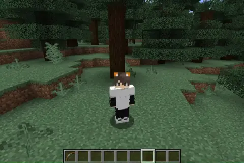 Postać w grze Minecraft, ubrana w białą bluzę i czarne spodnie, z kocimi uszami na głowie, stoi w lesie. Czeka na komendę na niewidzialność.