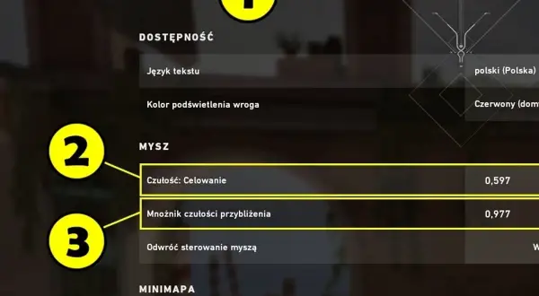 Ustawienia gry: czułość celowania 0,597, mnożnik czułości przybliżenia 0,977. Tudson settings.