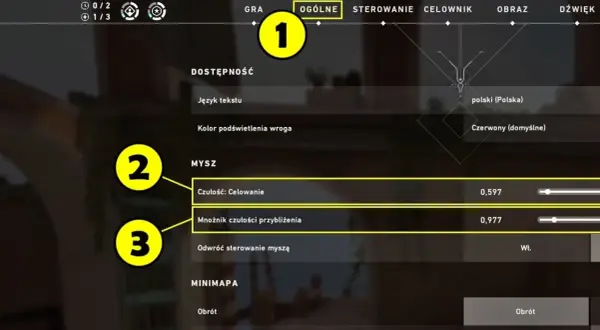 Ustawienia gry: czułość celowania myszy 0,597, mnożnik czułości przybliżenia 0,977. Język polski.