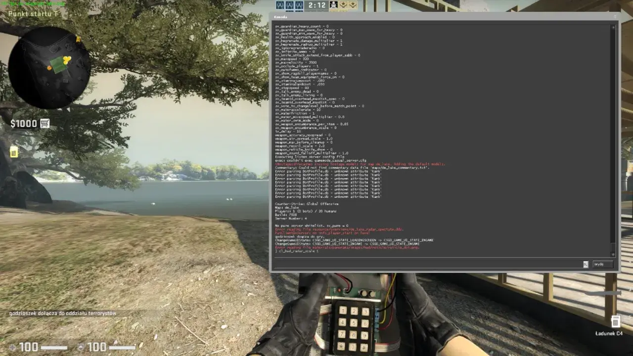 Komenda na HP: sv_infinite_ammo 1. Widać konsolę gry z wpisanymi komendami i ładunek C4.