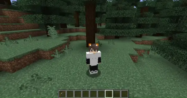 Postać w grze Minecraft, ubrana w białą bluzę i czarne spodnie, z kocimi uszami na głowie, stoi w lesie. Czeka na komendę na niewidzialność.
